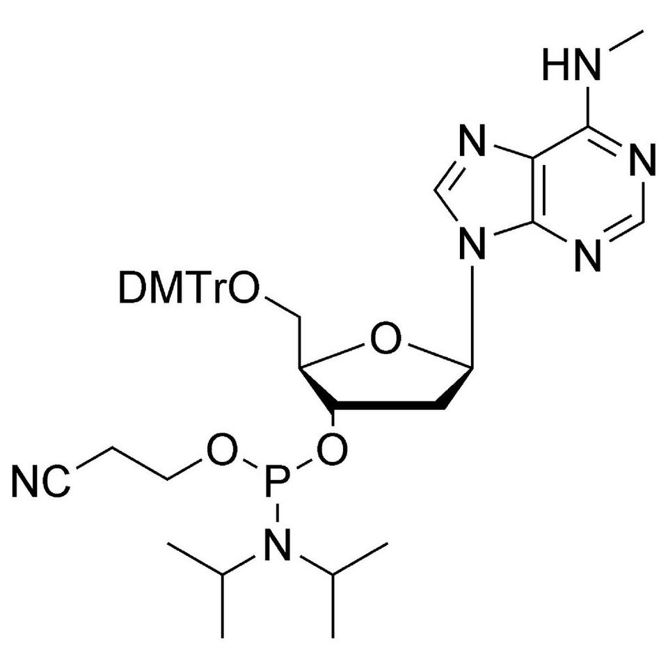N6-Me-dA CE-Phosphoramidite